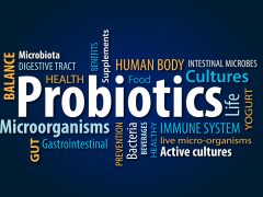 <i class='fa fa-lock' aria-hidden='true'></i> The Benefits of Probiotics