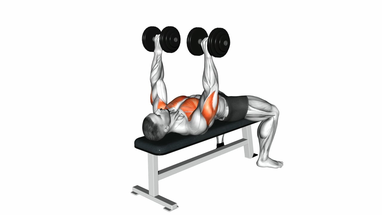 Dumbbell Bench Press My Central Fitness