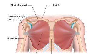 Chest Injuries